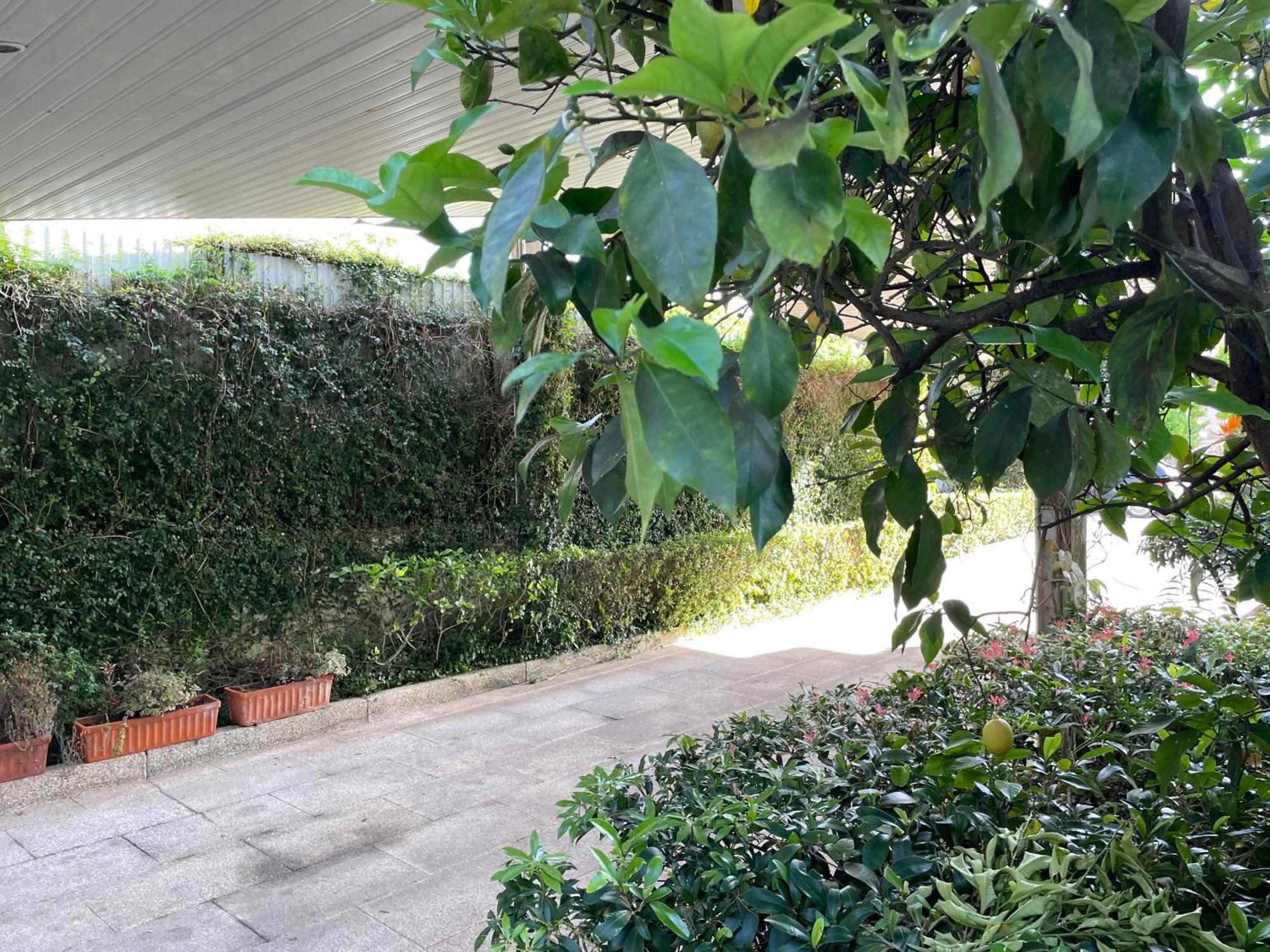 הוילה גימראייש Casa Do Paco מראה חיצוני תמונה